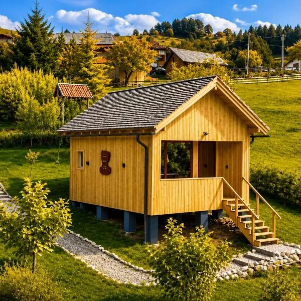 Wezly Tiny House, hotel en Măgura
