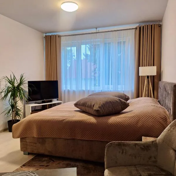 Radvilų apartamentai, hotell i Radviliškis