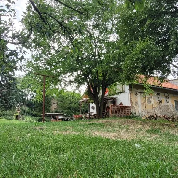 베네쇼프에 위치한 호텔 Southfork Farma Všetice