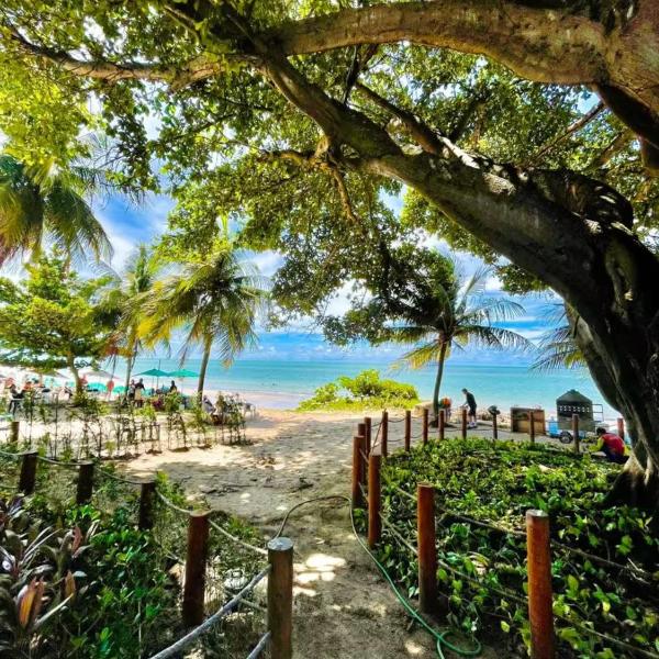 Flat Beira Mar Get Sense Pe na Areia Unid 104