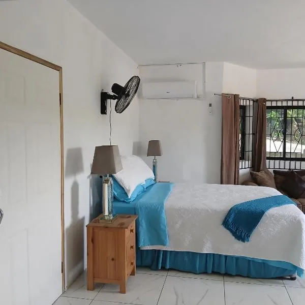 Cambridge Heights Guest House,位于Port Maria的酒店