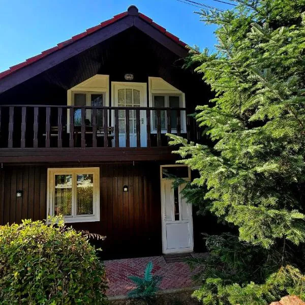 AVS Snagov Chalet, hotel en Snagov