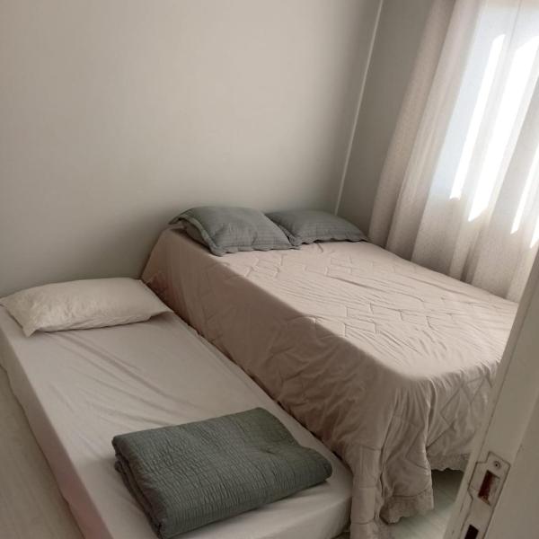 Girassol - Foto 2