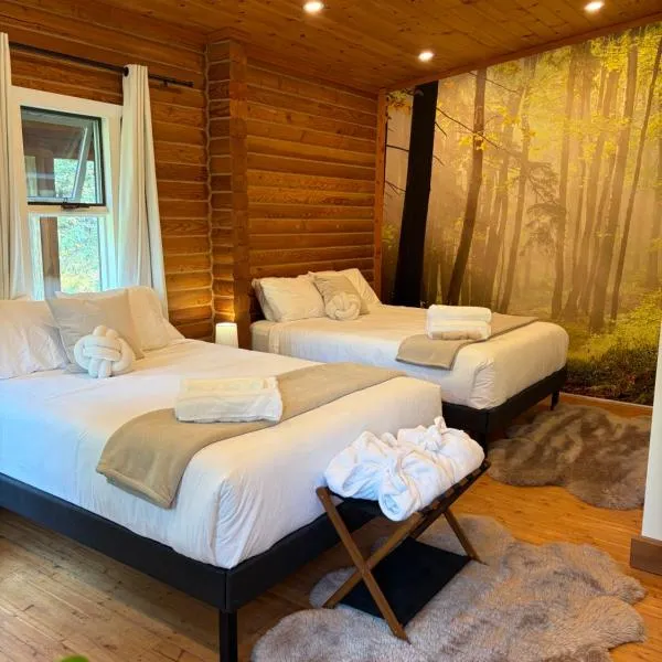 Kootenay Haus Resort, отель в городе Нейкусп