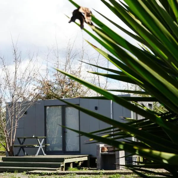Cabañas Tinycolchagua cl โรงแรมในซานตาครูซ