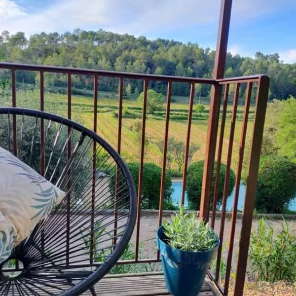 Le Figuier appart 2-3 pers en plein vignoble avec piscine privée à 30mn des gorgesdu Verdon et des plages, hotel em Carcès