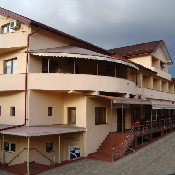 Hotel Martisorul, hotel i Cacica