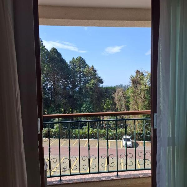 Vista Azul Apart - Vista para a mata de pinheiros
