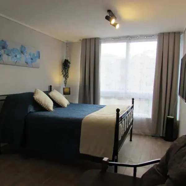 Departamento junto a Santander Arena, Movistar Arenas, Metro y Parque o'higgins, hotel en Santiago