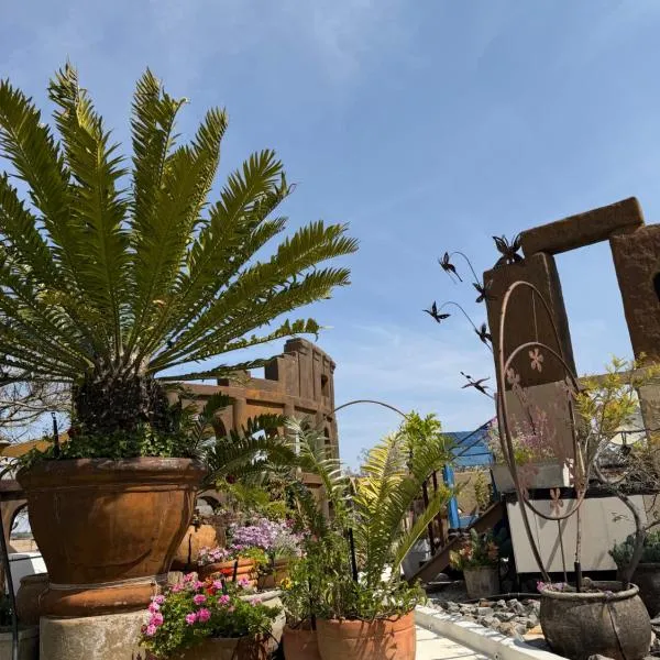 Kiwara Guesthouse, Hotel in Johannesburg