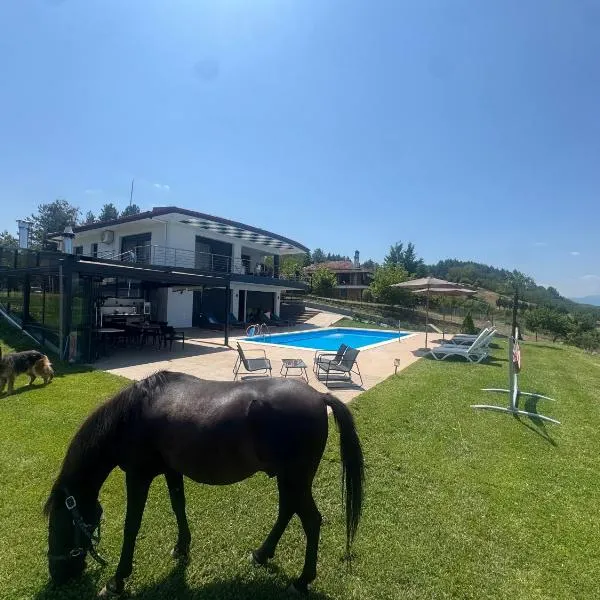 Luxury Villa rafaela grevena、グレヴェナのホテル