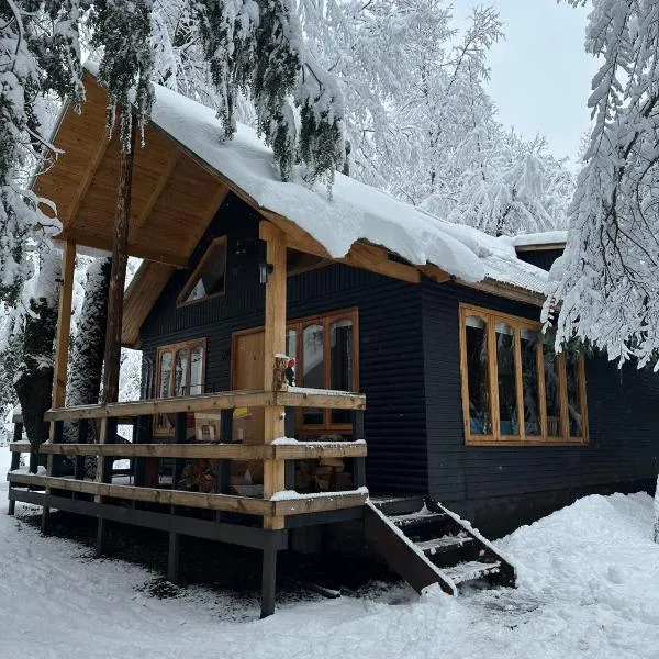 Cabañas Bosque las Trancas, hotell sihtkohas Las Trancas
