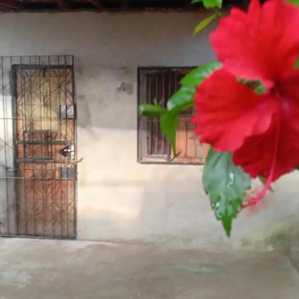 Refúgio Paraense - Foto 5