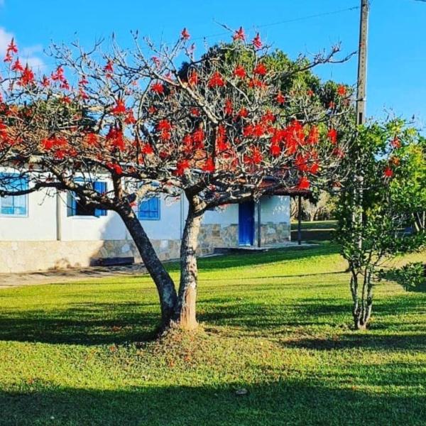 Duas Pontes Farm, Diamantina