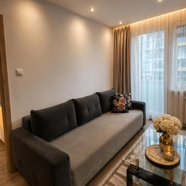 Apartament Beskidzki Zakątek Skoczów,斯科丘夫的飯店