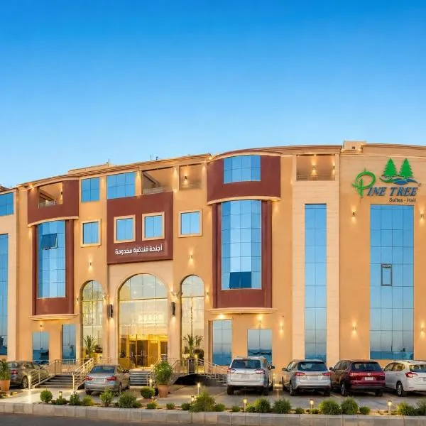 أجنحة باين تري للشقق المخدومة حائل, hotel in Hail