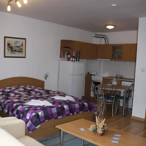 Studio Moni, hotel in Pamporovo