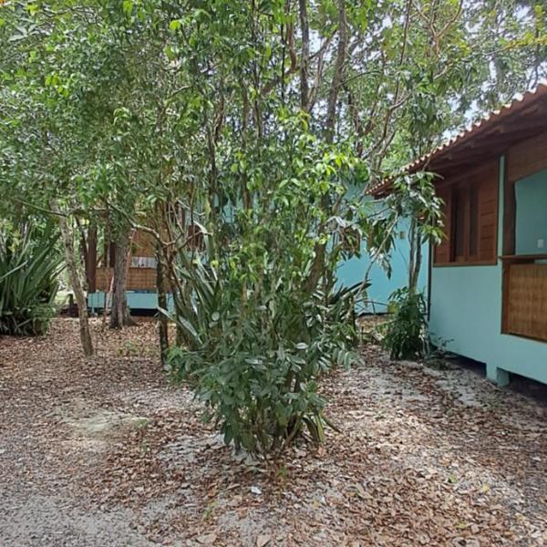 Brand-new Aloha Bungalow!