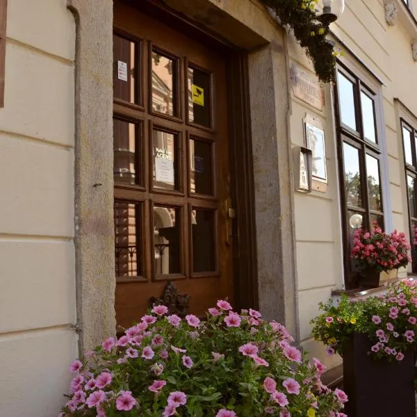 Hotel Paradies, hotel in Teplice