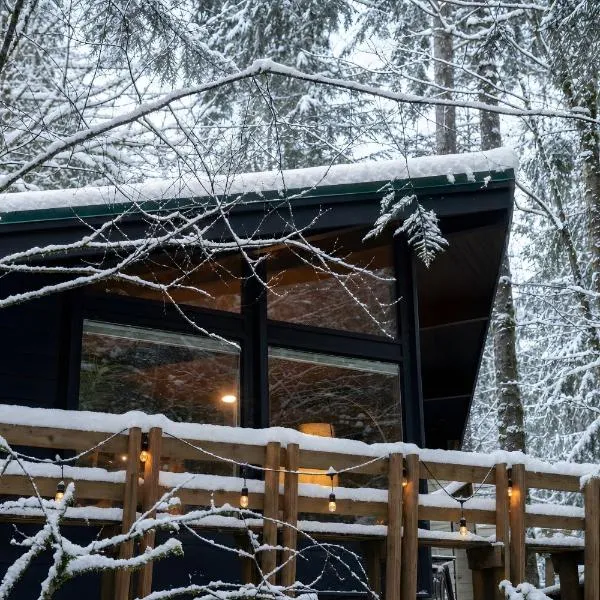 Mid-century Cabin Hideaway - Hot Tub & Fire Pit, hotel em Rhododendron