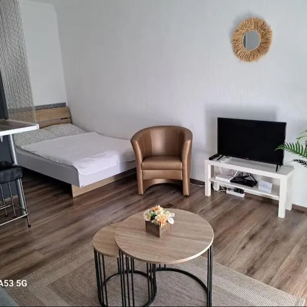 In the center of Debrecen!, hotell sihtkohas Debrecen