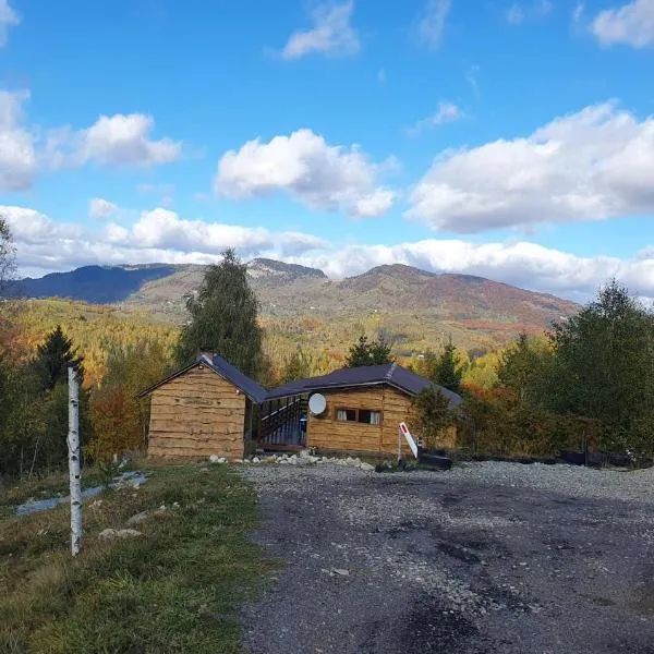 Cabana doi mesteceni, hotel u gradu Drumu Carului