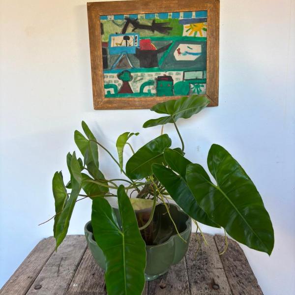 Casa Xando Caraiva - Foto 3