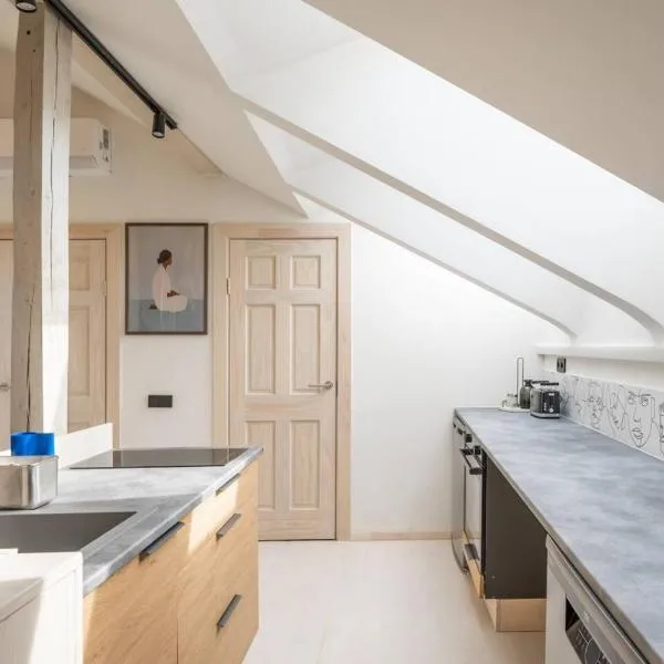 Scandi Spacious Attic Loft Suites with Skyline View, מלון בריגה
