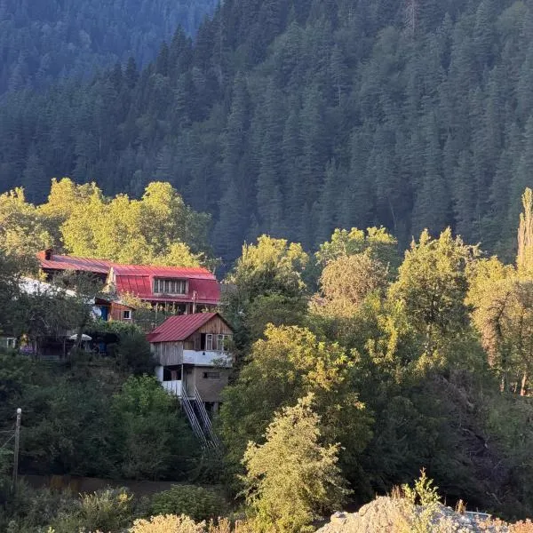 Summer house on a hill near Shovi, готель у місті Glola