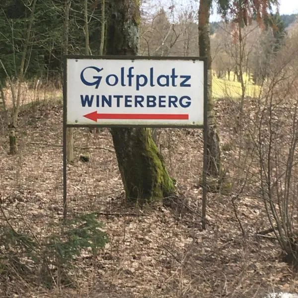 Am Golfplatz 800 Meter bis Möppis Hütte, hotel in Winterberg