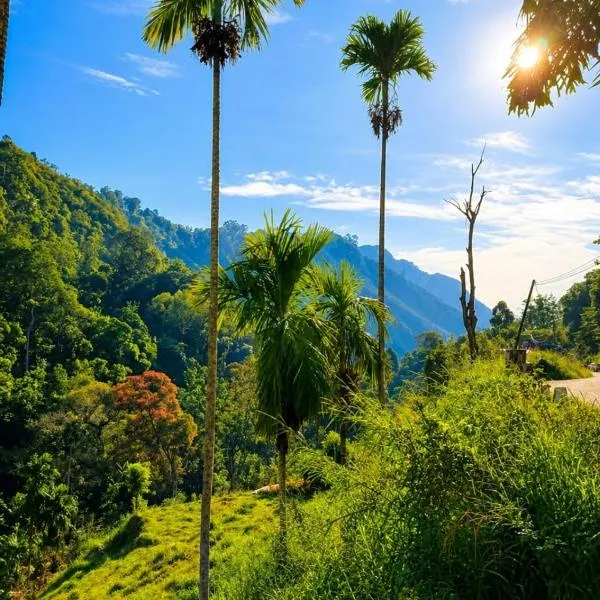Creek Downhills, готель в Еллі