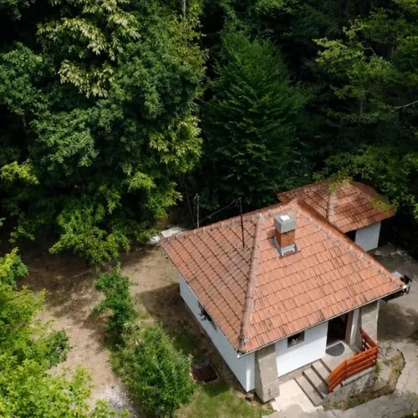 Šumarak Weekend House，阿蘭傑洛瓦茨的飯店