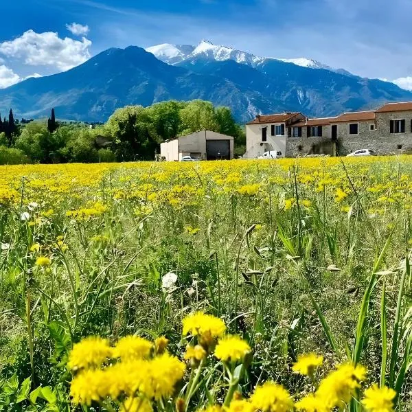 Gite Le Canigou 3 étoiles, hotell sihtkohas Prades