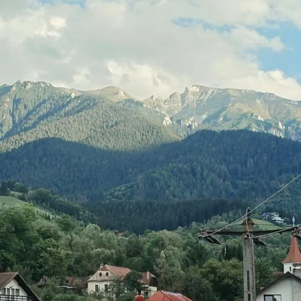 Cuibul bunicilor Bran, Hotel in Bran