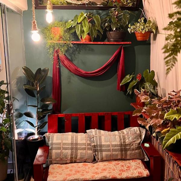 Casa Botânica Natureza & Tecnologia - Foto 4