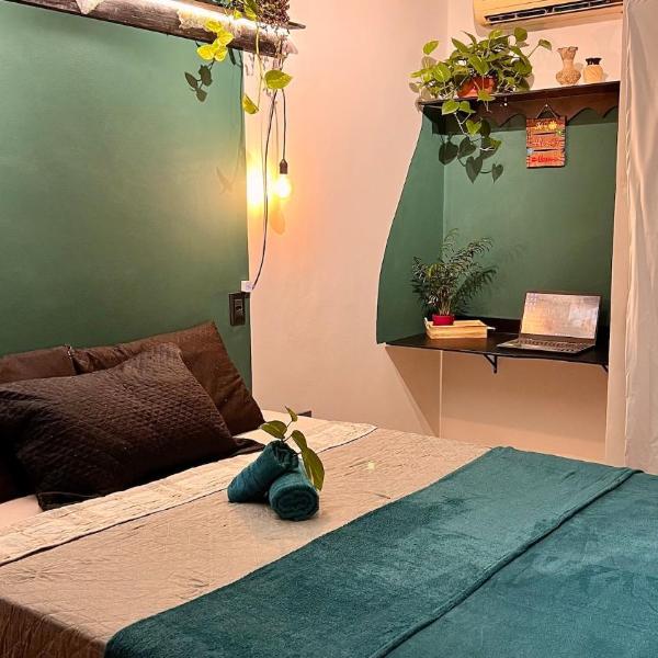 Casa Botânica Natureza & Tecnologia - Foto 2