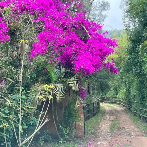 Pedras Altas Ranch