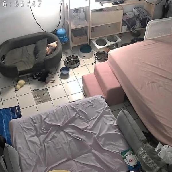 Quarto da lua - Foto 3