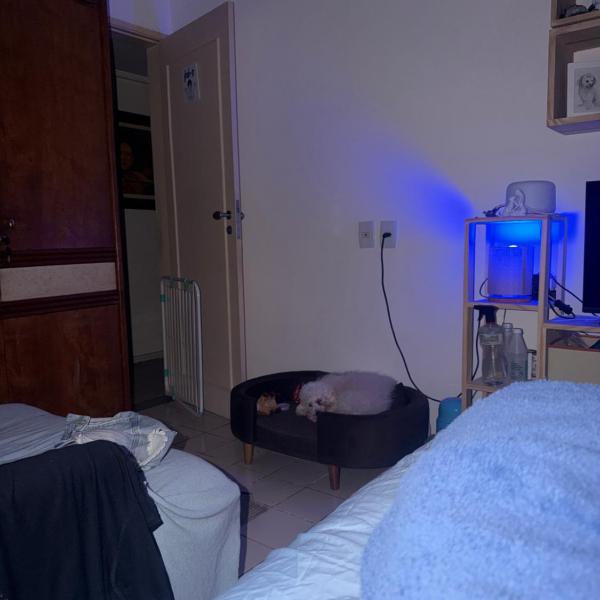 Quarto da lua - Foto 4