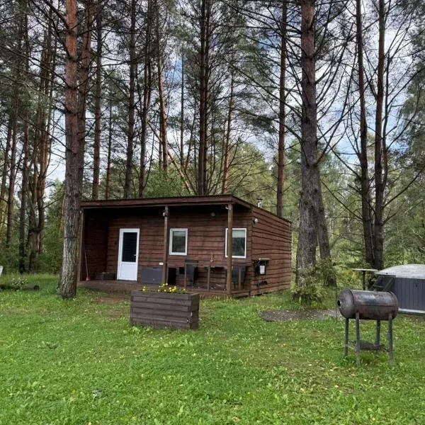 Forest cabin、Ozolaineのホテル