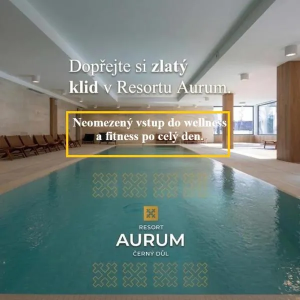 Resort Aurum, hotel en Černý Důl