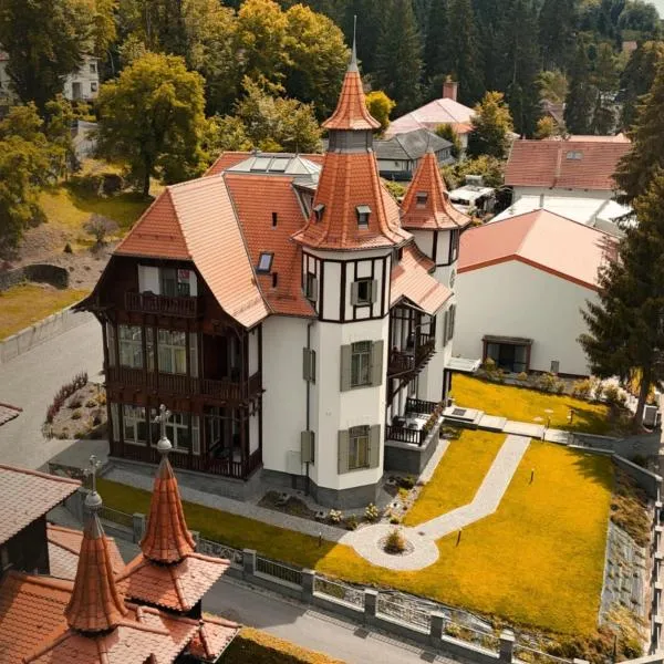 Sovata में, होटल Turul Villa