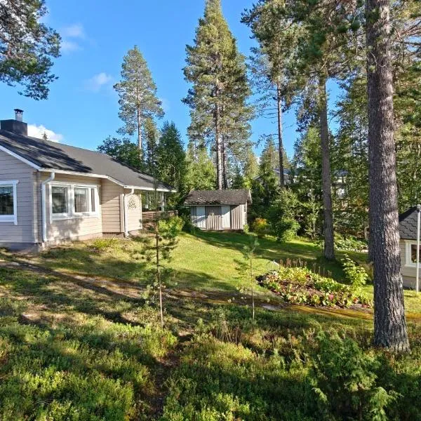 Villa Salme lemmikkiystävällinen mökki Taivalkoskella Jokijärven rannalla, hotel din Taivalkoski