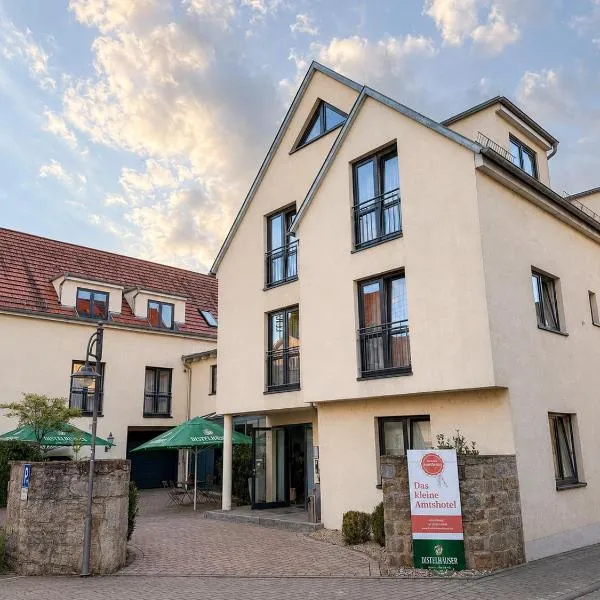 Das kleine Amtshotel, khách sạn ở Distelhausen