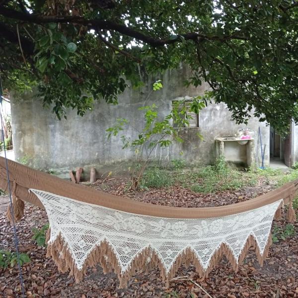 Terra das Embaúbas Agroecologia - Foto 3