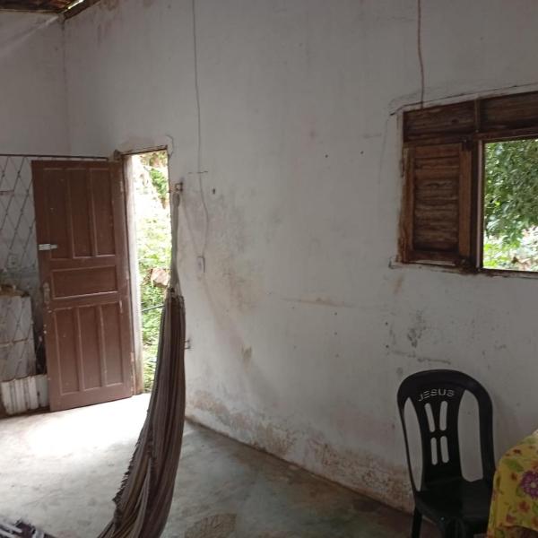 Terra das Embaúbas Agroecologia - Foto 4