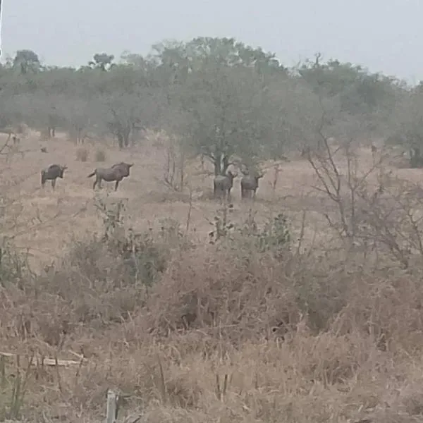 Paradise Camp Rooms, hotel in Grootfontein
