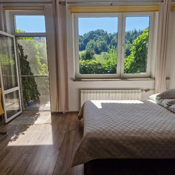 Zielona Przystań Apartament z widokiem na Pieniny, hotel v destinaci Jaworki