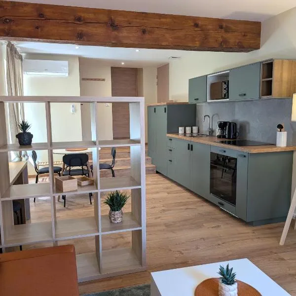 Suites de la Plaine, proche CNPE Bugey et PIPA, hotel in Chazey-sur-Ain