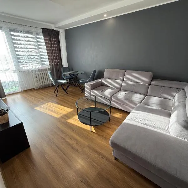 루빈에 위치한 호텔 Apartament GRAFITOWY Lubin